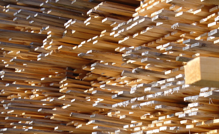 Top 15 des plus grandes entreprises de production de bois au monde