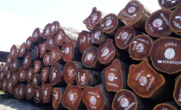 l'exportation de grumes en République du Congo est interdite et limitée aux produits semi-finis et finis a partir du 1er janvier 2023.