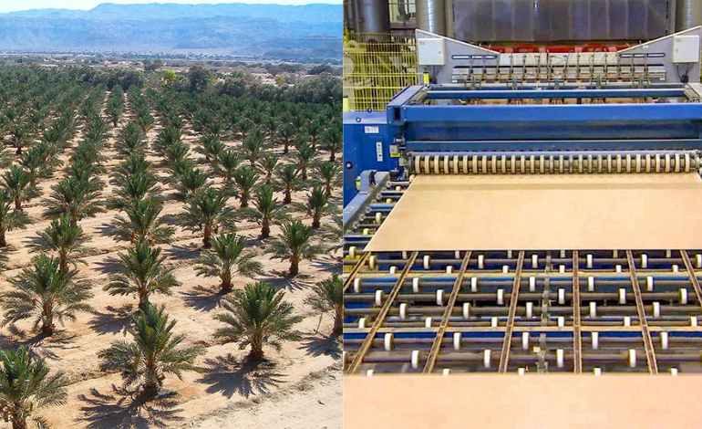 La première usine au monde à produire du MDF à partir de feuilles de palmier