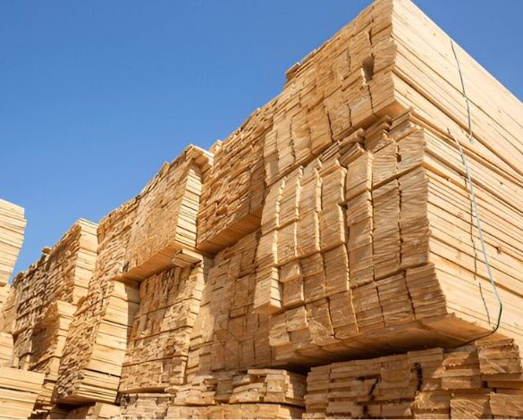 Empilement de bois d'œuvre en Europe prêt à l'exportation vers les États-Unis, représentant la baisse de 20 % des importations en 2024