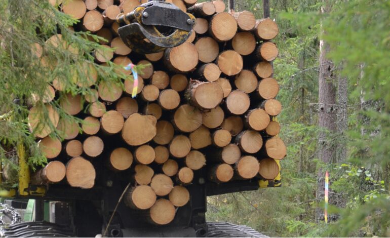 l’augmentation des prix du bois en Suède en 2024