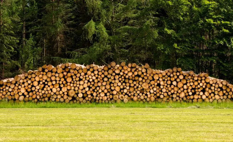 des contrats à terme sur le bois d’œuvre en Amérique du Nord