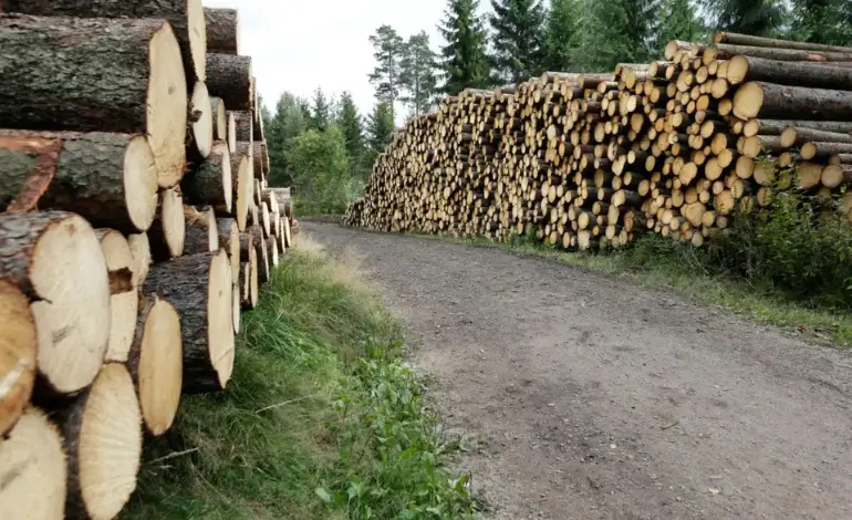 Grumes de bois en Norvège en 2025, dans un contexte de baisse des prix