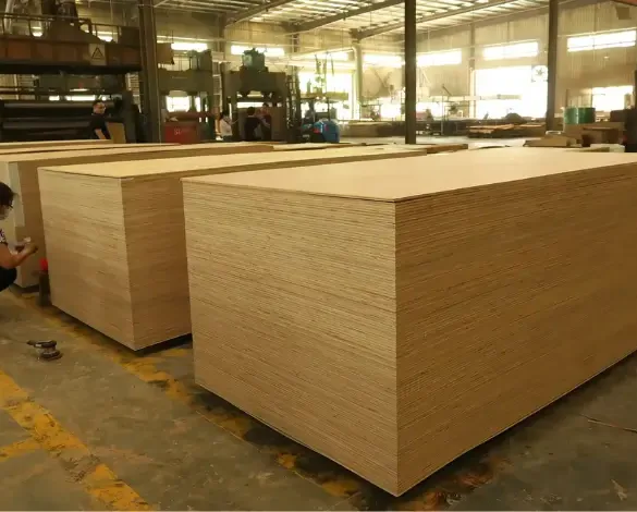 production de contreplaqué chinois dans une usine