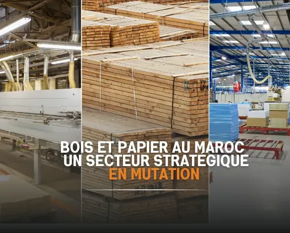 Bois et papier au Maroc : un secteur stratégique en mutation