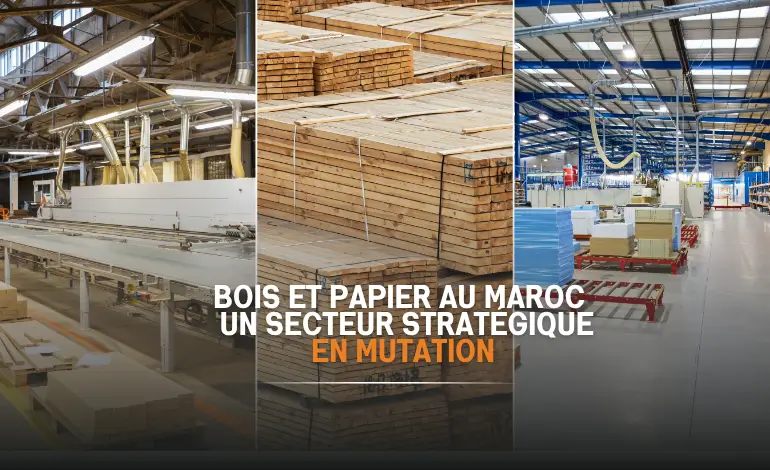 Bois et papier au Maroc : un secteur stratégique en mutation