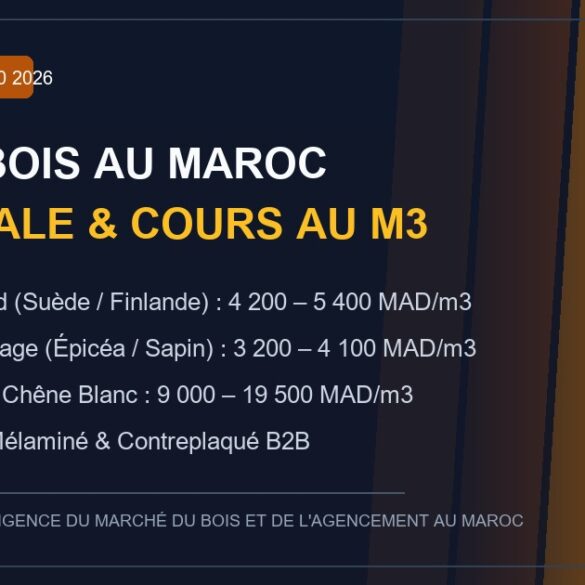 Baromètre des cours et prix du bois au Maroc en 2026 au m3 - Cotations et mercuriale