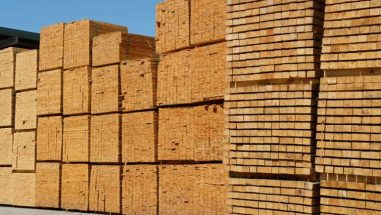 Hausse des prix dans le marché mondial du bois, Évolution et Tendances